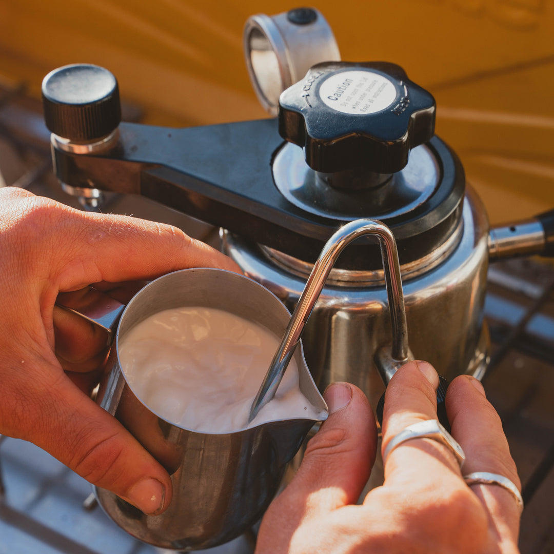  Bellman SS Stove Top Espresso/Cappuccino Maker,9 cups: Stovetop  Espresso Pots: Home & Kitchen